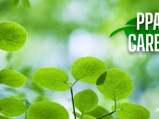 Imaging USA’s Green Initiative for 2025 and Beyond: PPA Cares
